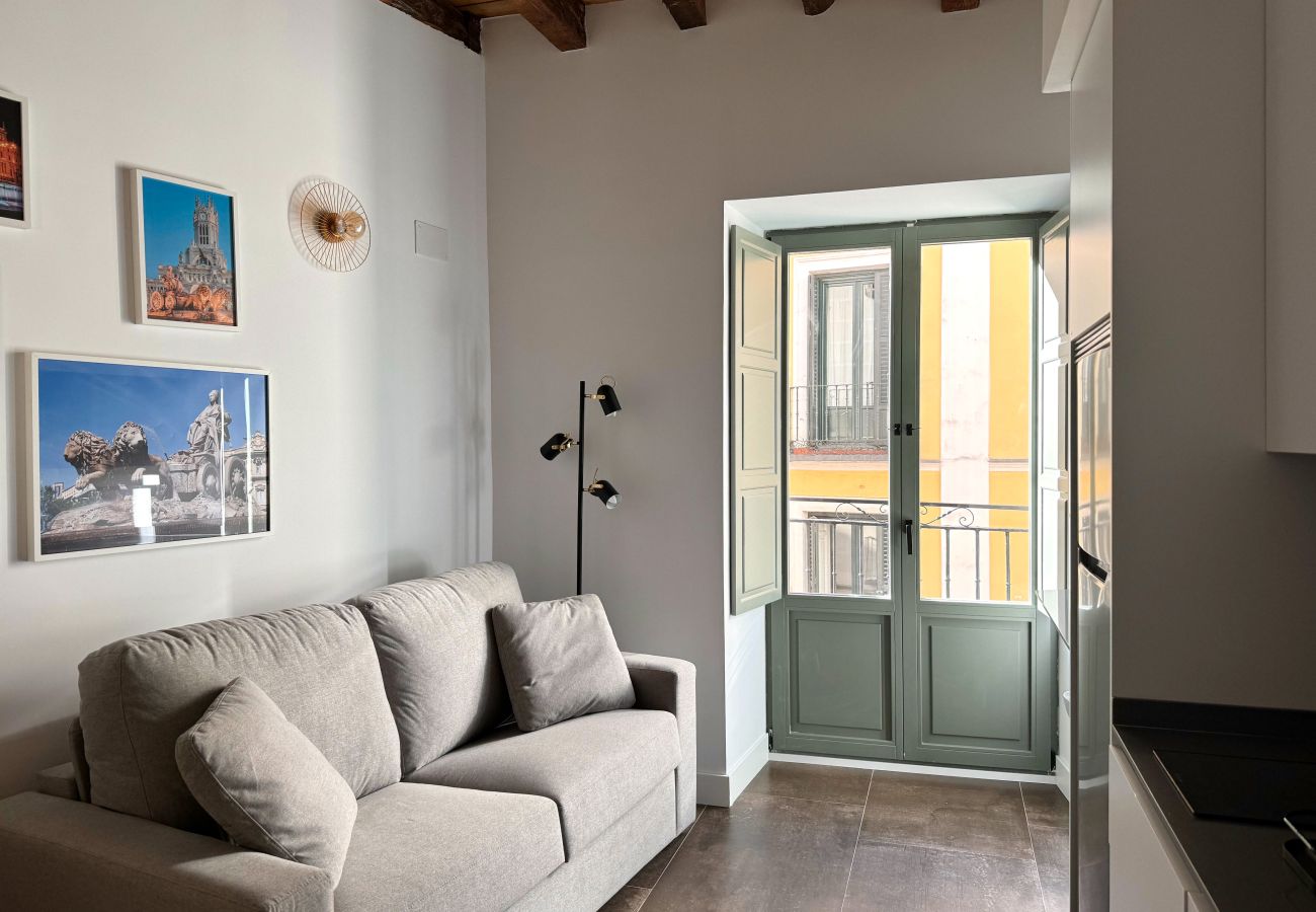 Estudio en Madrid - 202 CavaBajaSuites 202 FUENTE LA CIBELES