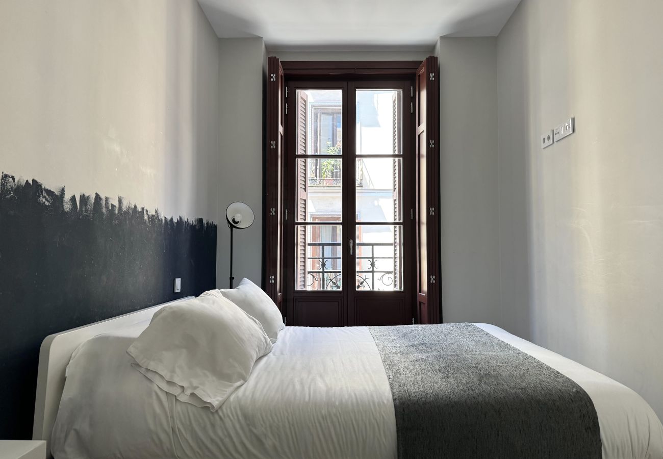 Estudio en Madrid - VI PlazaMayorSuites VI PUERTA DE EUROPA