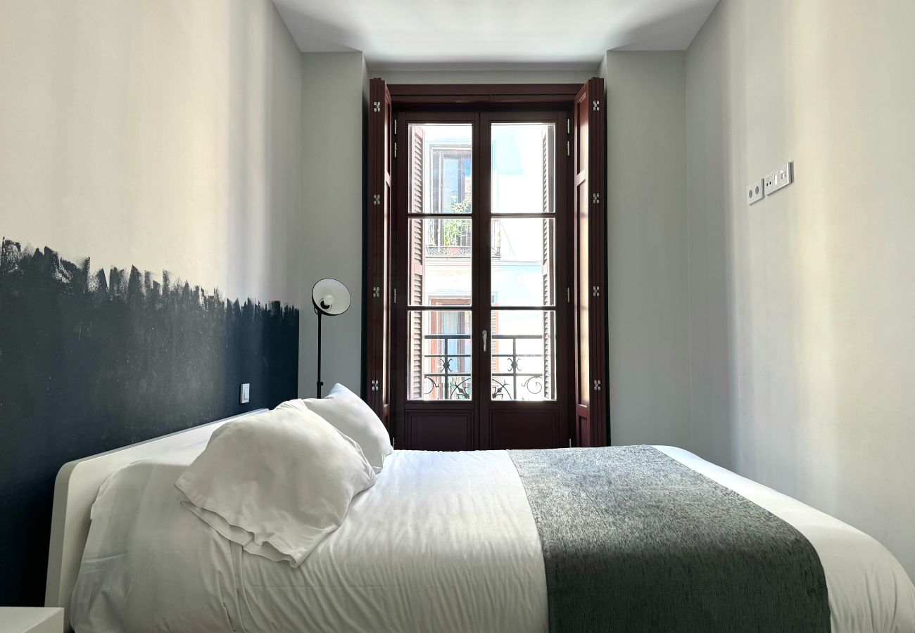 Estudio en Madrid - IX PlazaMayorSuites IX MUSEO SOROLLA