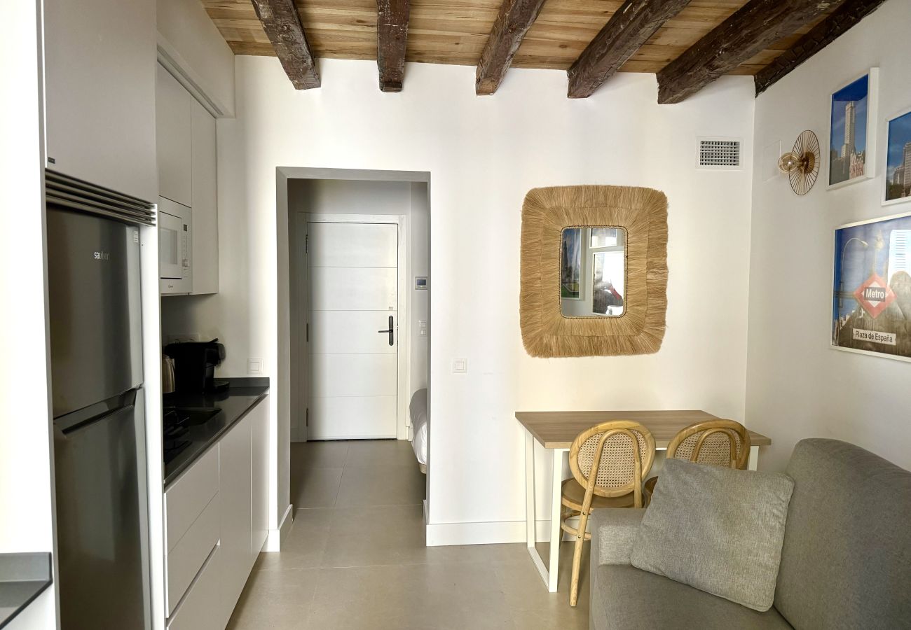 Studio in Madrid - 102 CavaBajaSuites 102 PLAZA DE ESPAÑA