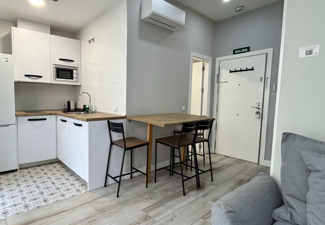 Studio in Madrid - IV PlazaMayorSuites IV PUERTA DE HIERRO