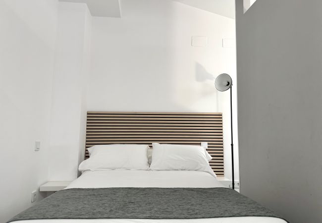 Studio in Madrid - XIII PlazaMayorSuites XIII PALACIO DE LIRIA