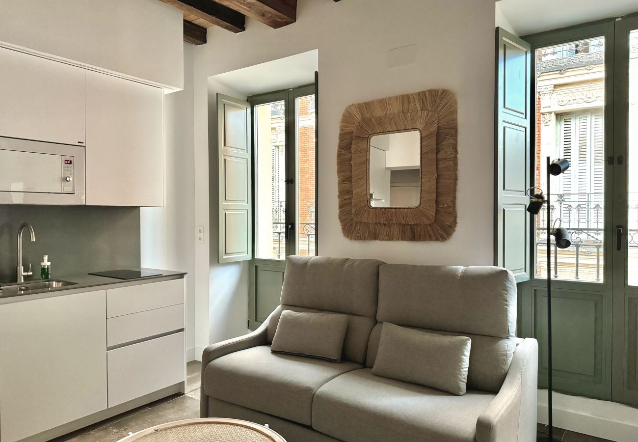 Studio à Madrid - 303 CavaBajaSuites 303 PARQUE DEL RETIRO