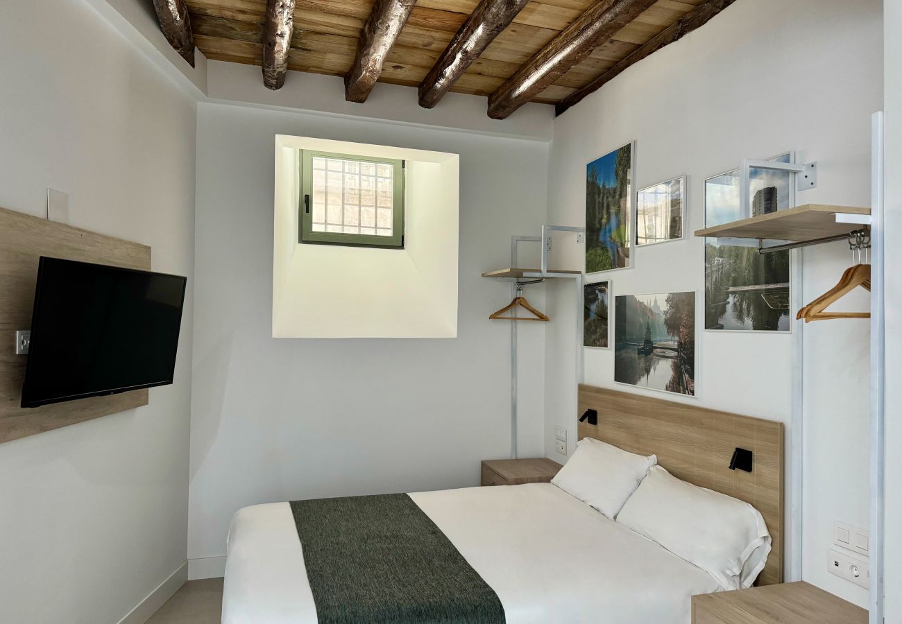 Studio a Madrid - 001 CavaBajaSuites 001 RIO MANZANARES