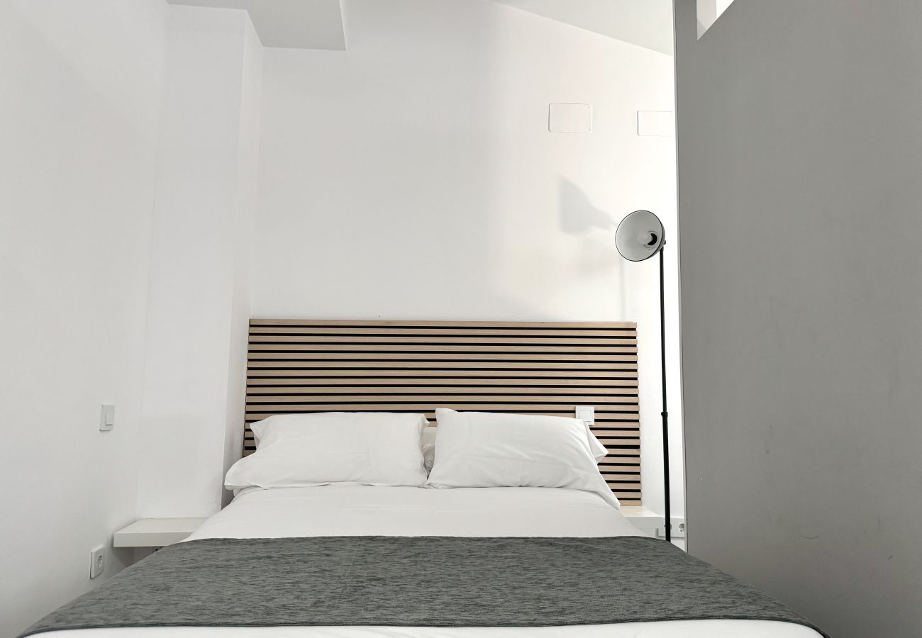 Studio a Madrid - XIII PlazaMayorSuites XIII PALACIO DE LIRIA