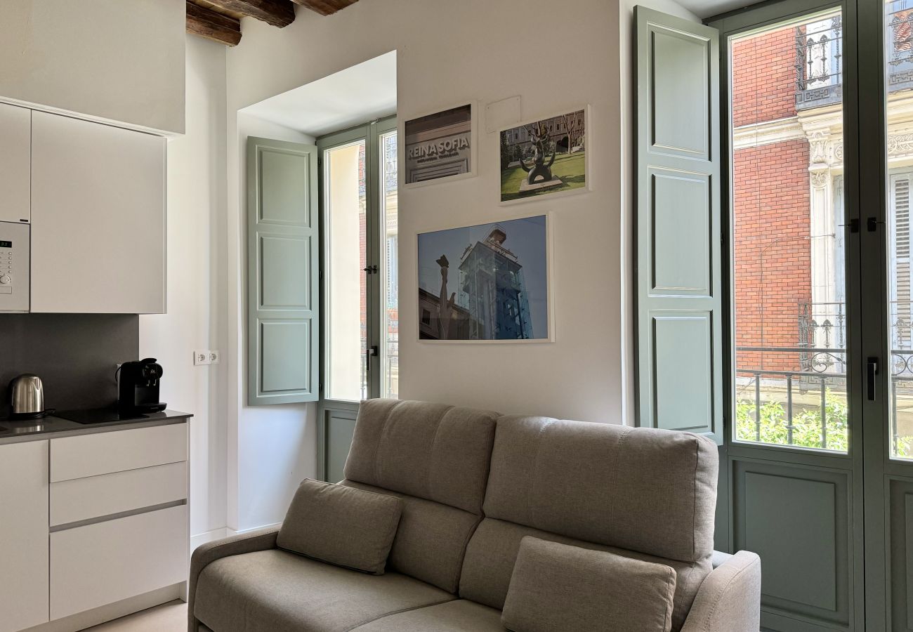 Estúdio em Madrid - 203 CavaBajaSuites 203 MUSEO REINA SOFIA